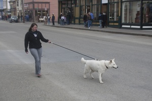 316-0430 Walking a Dog in Skagway AK